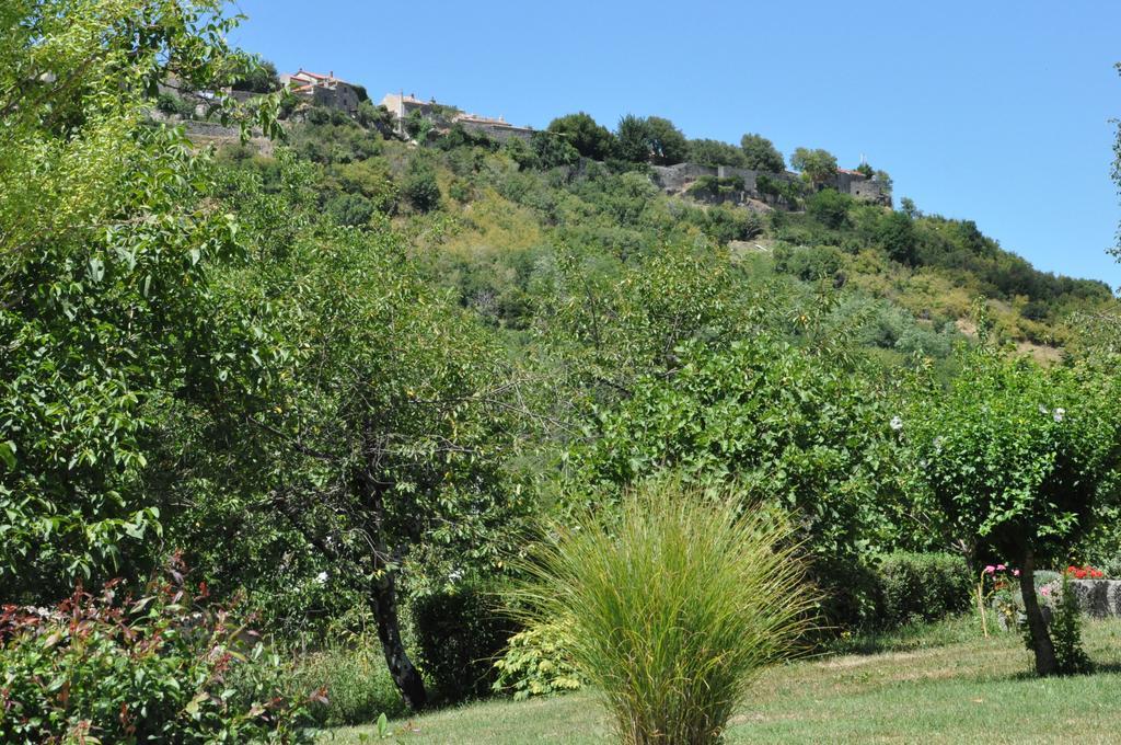 Marioni * Buzet