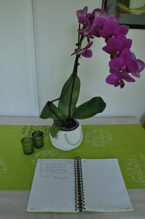 Marioni Apartment Buzet