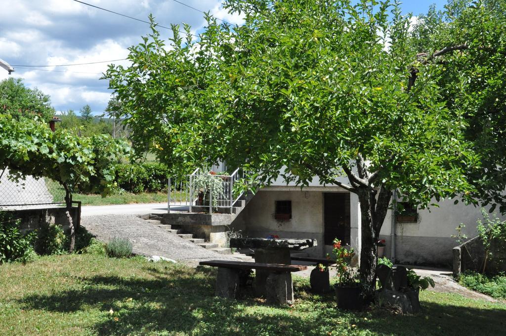 Apartment Marioni Buzet